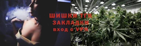 стаф Богданович