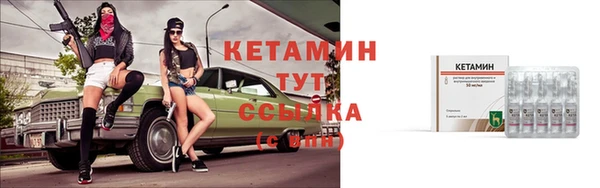 стаф Богданович
