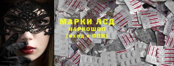 стаф Богданович
