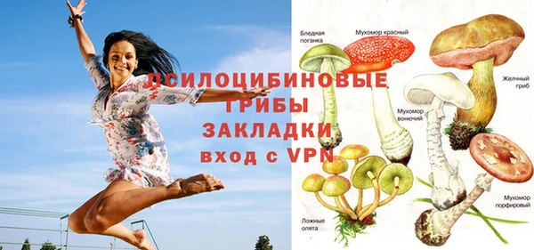 эйфоретик Богородск