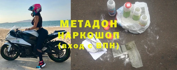 стаф Богданович