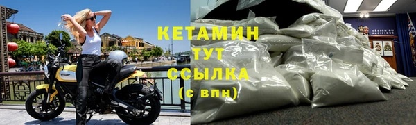 стаф Богданович