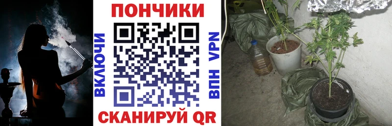MEGA сайт  Симферополь  Канабис ГИДРОПОН 